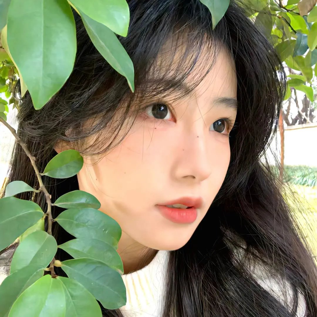 双世美姬